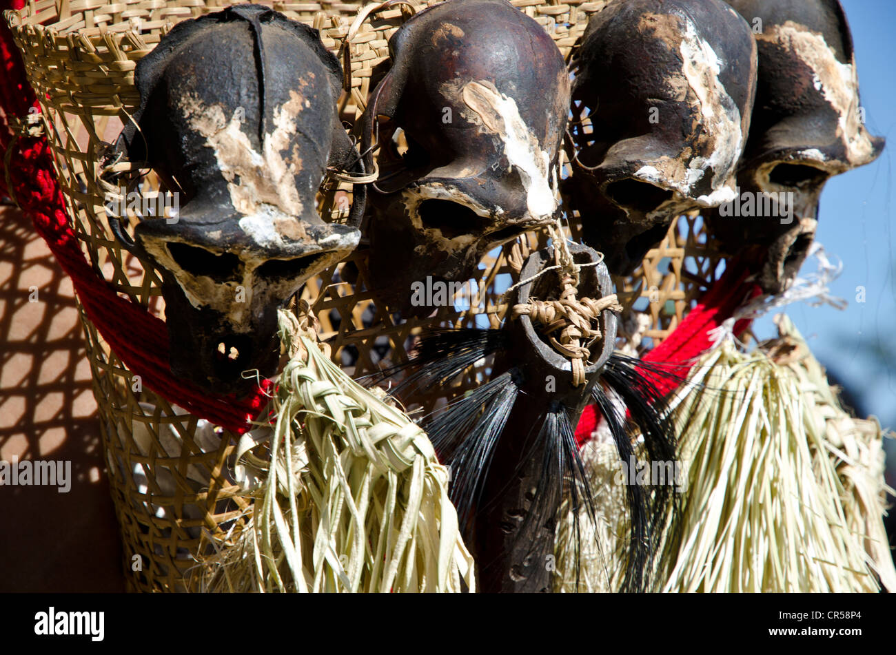 Details zu den Kleidern des Stammes Konyak Hornbill Festival, Kohima, Nagaland, Indien, Asien Stockfoto