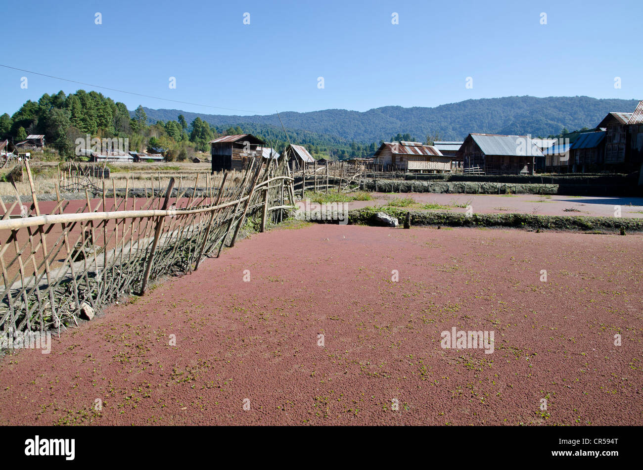 Typische Reis Paddys und Dorf Struktur des Apatani-Stammes, Hong Dorf, Arunachal Pradesh, Indien, Asien Stockfoto