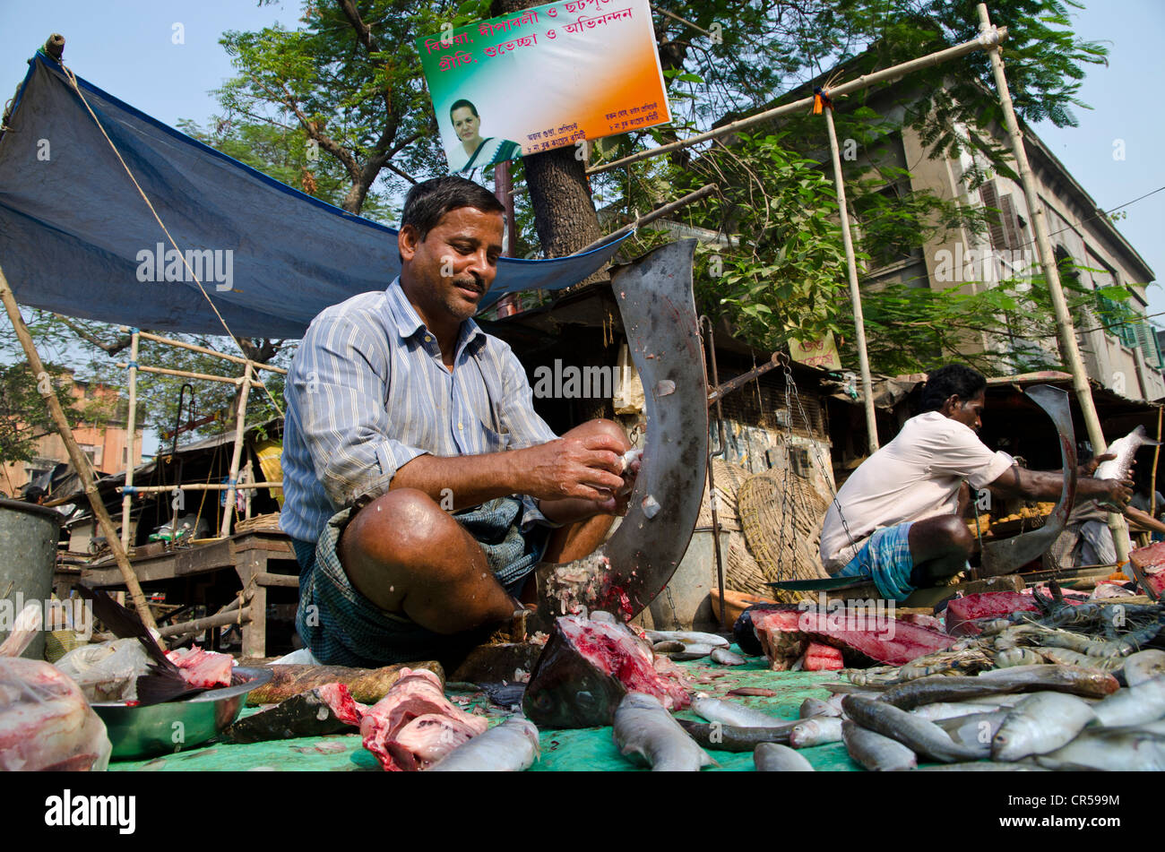 Fischhändler in den Straßen von Kalkutta, Westbengalen, Indien, Asien Stockfoto