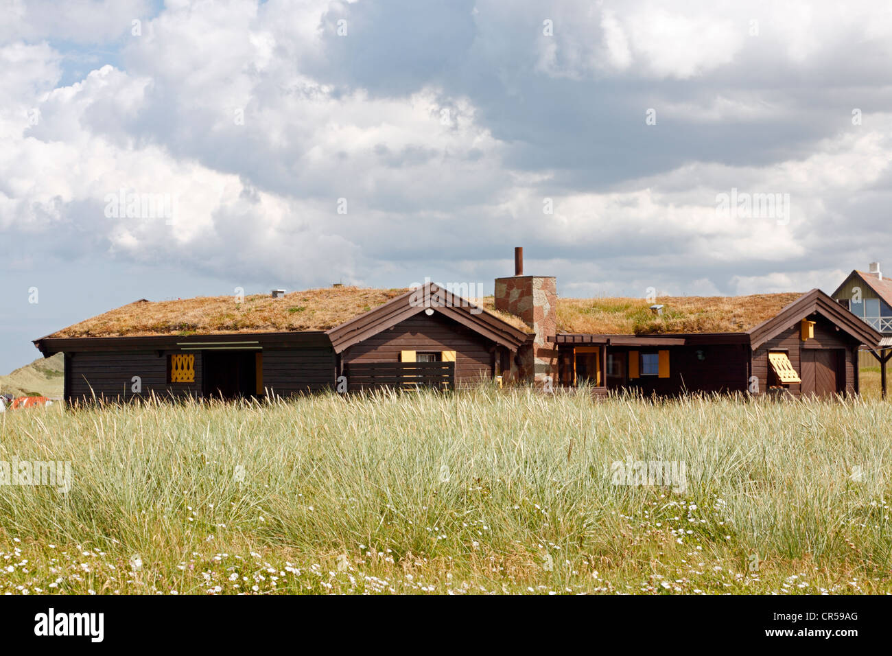 Holz- Ferienhäusern in Lønstrup, Loenstrup, ein Ferienort in Nord-westlichen Jütland, Dänemark, an der rauen Nordsee Küste. Stockfoto