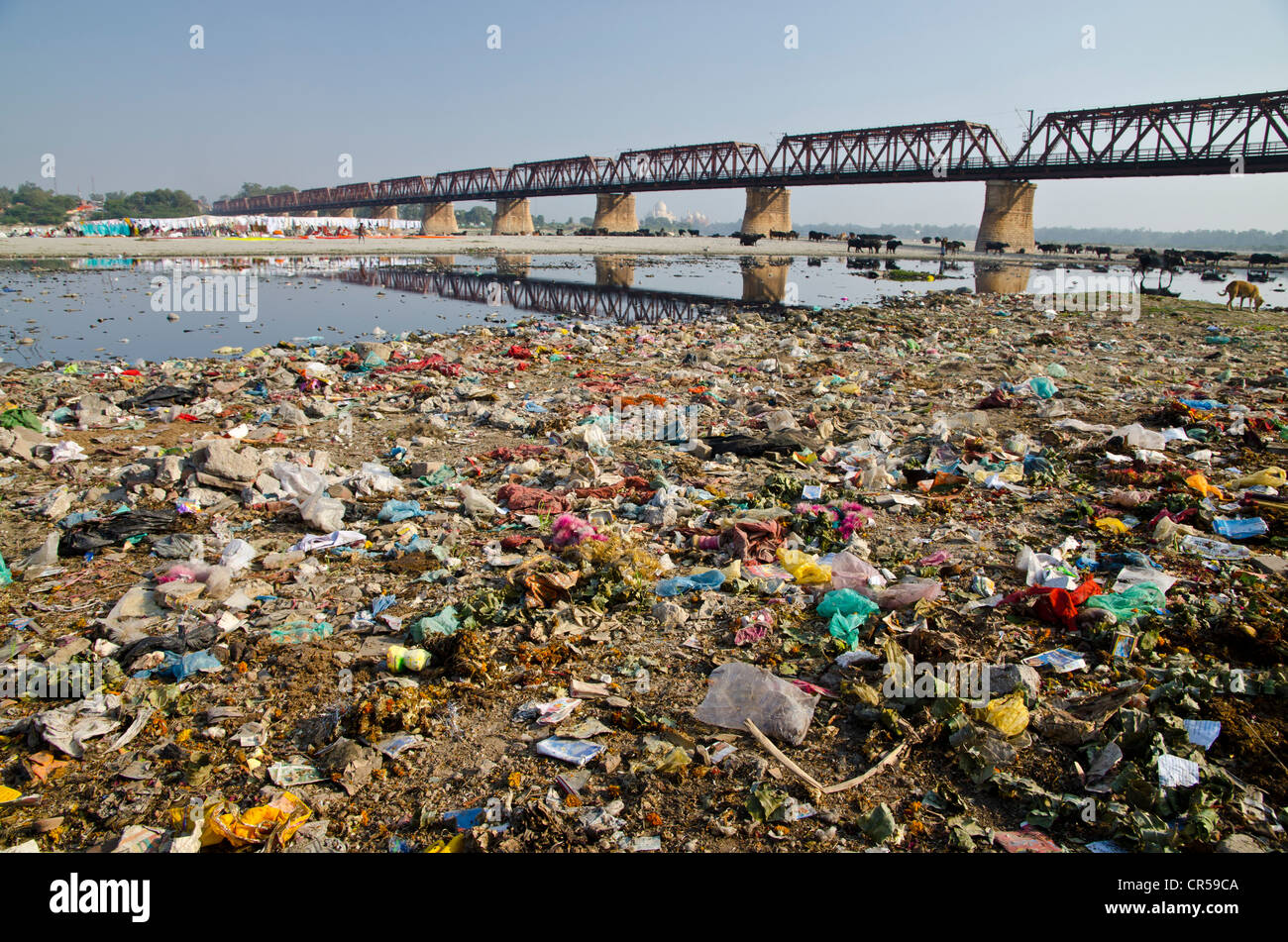 Müllhalde am Ufer des Flusses Yamuna, Agra, Uttar Pradesh, Indien, Asien Stockfoto