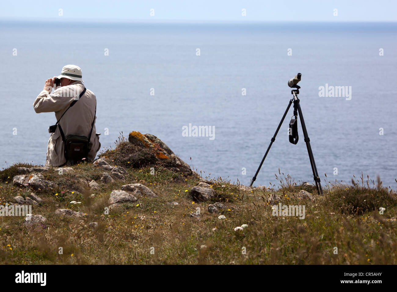 Twitcher Vogelbeobachtung in der Nähe von Kynance Cove Cornwall Stockfoto