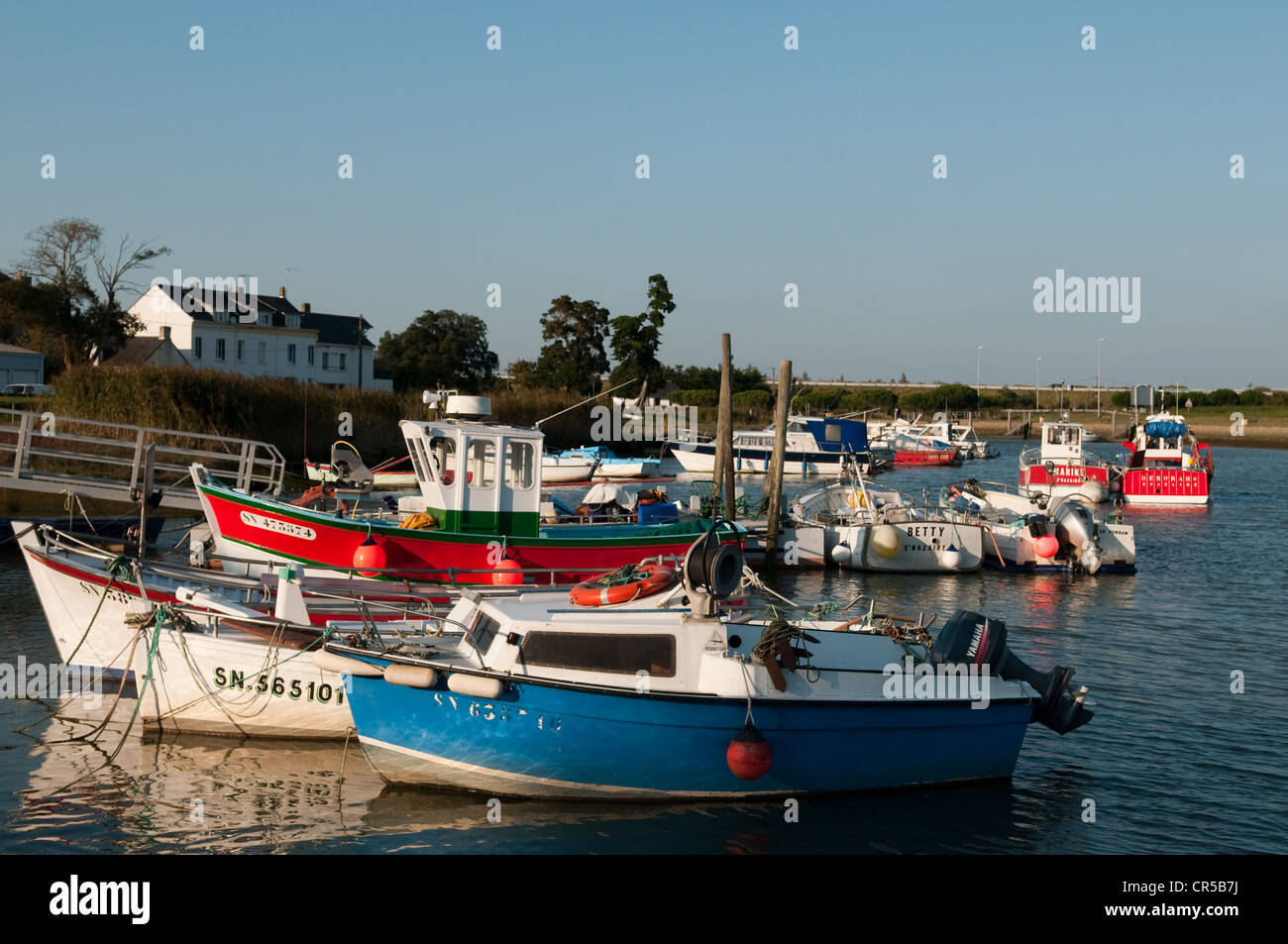 Frankreich, Loire-Atlantique, Saint-Nazaire, Hafen von Mean Stockfoto