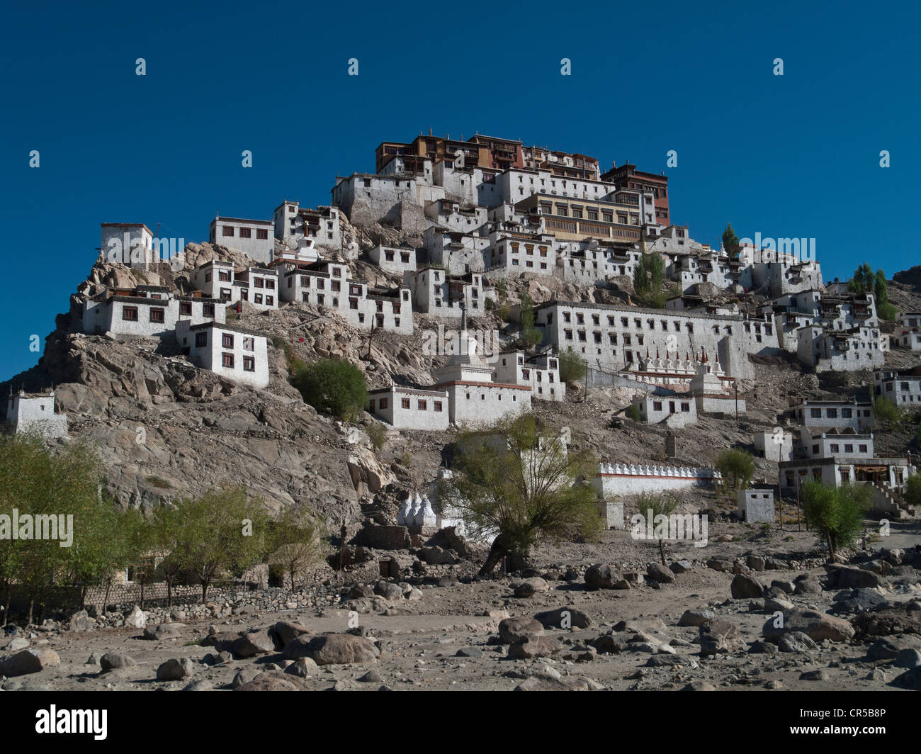 Thikse Gompa, große Kloster liegt auf einem Hügel südlich von Leh, mit Blick auf die Indus-Tal, Leh, Jammu und Kaschmir, Indien, Asien Stockfoto