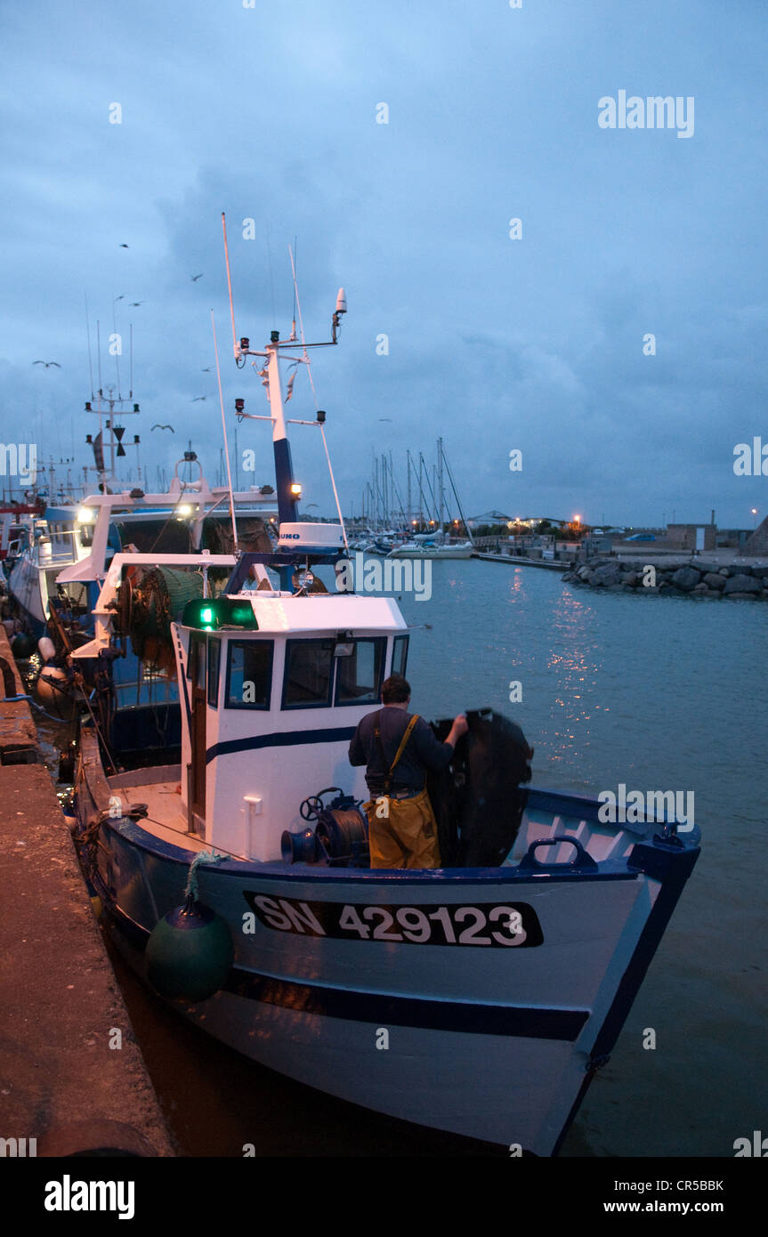Frankreich, Loire-Atlantique, La Turballe, Rückkehr vom Fischen Stockfoto Frankreich, Loire-Atlantique, La Turballe, Rückkehr vom Fischen Stockfoto