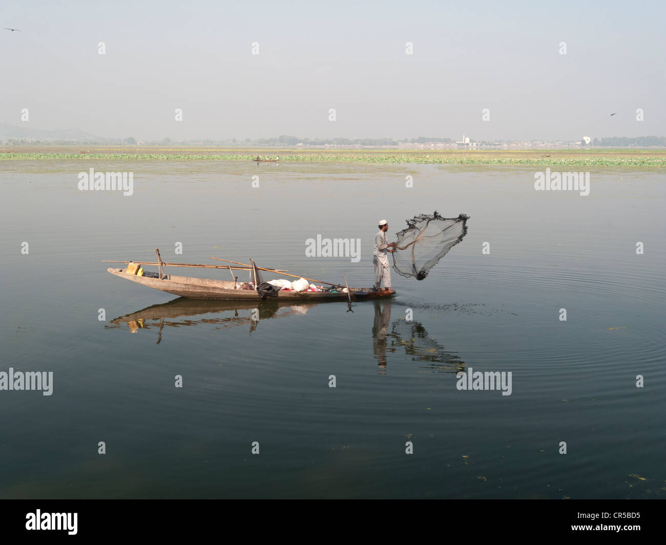 Lokale Fischer fangen Fische die traditionelle Art und Weise auf See Dal, Srinagar, Jammu und Kaschmir, Indien, Asien Stockfoto