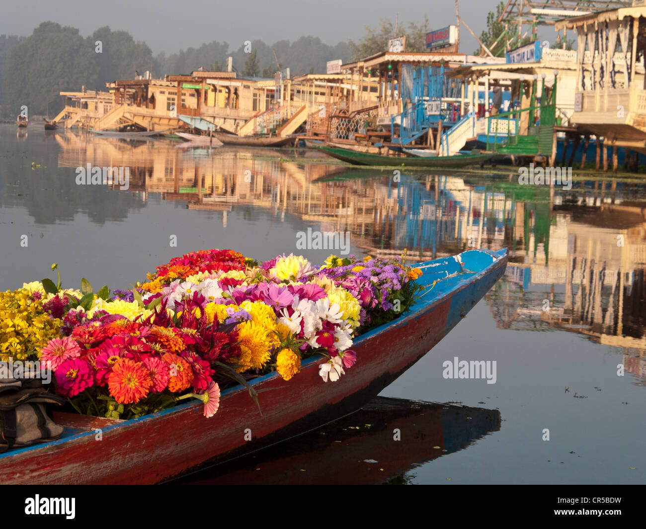 Blumen werden von einer Shikara, traditionellen Boot auf See Dal, Srinagar, Jammu und Kaschmir, Indien, Asien verkauft Stockfoto