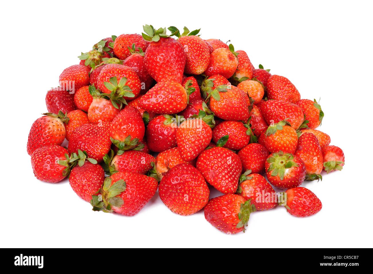 Erdbeeren Obst isoliert auf weißem Hintergrund Stockfoto