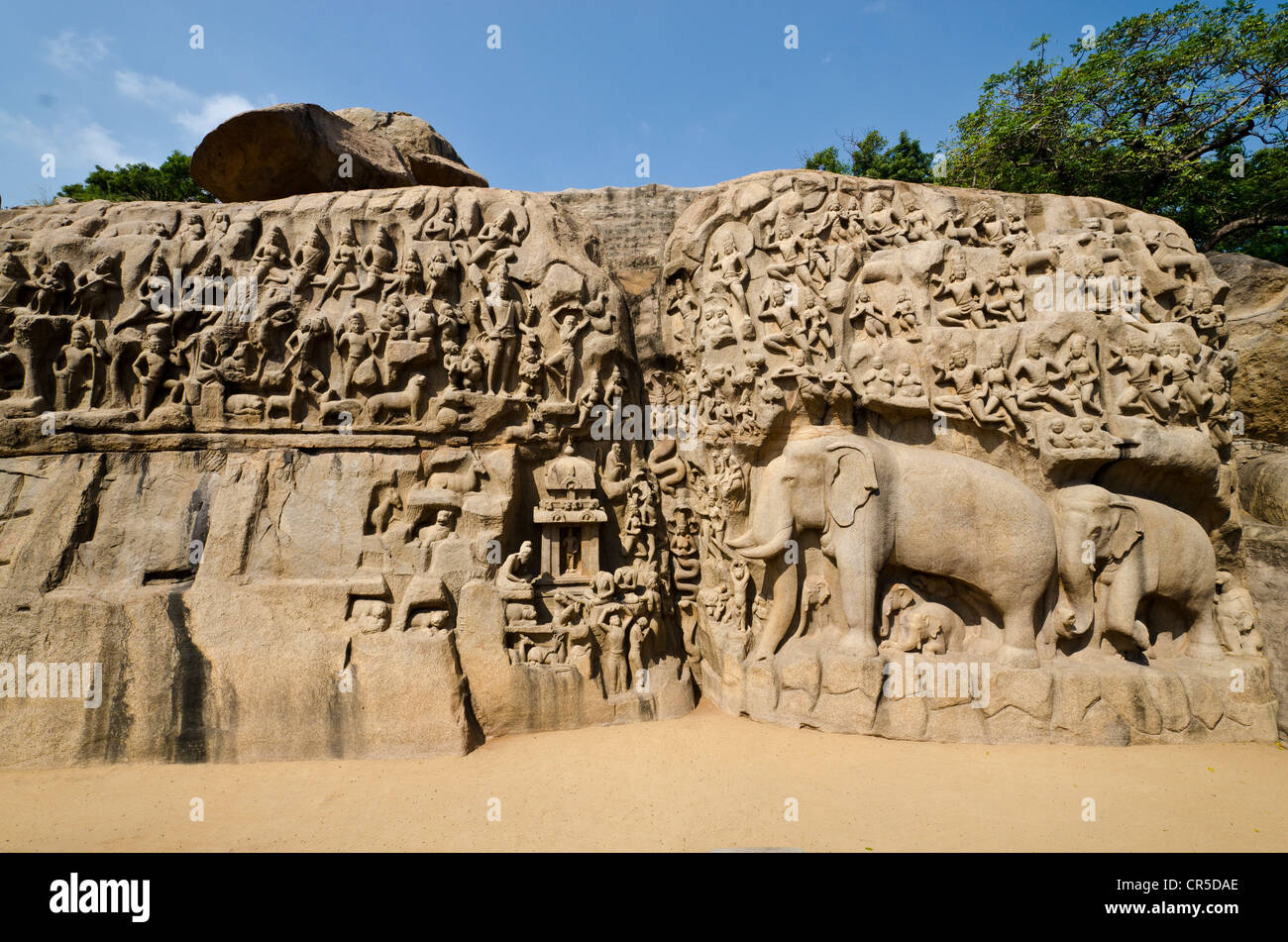 Rockcarvings in Mahabalipuram, Tamil Nadu, Indien, Asien Stockfoto