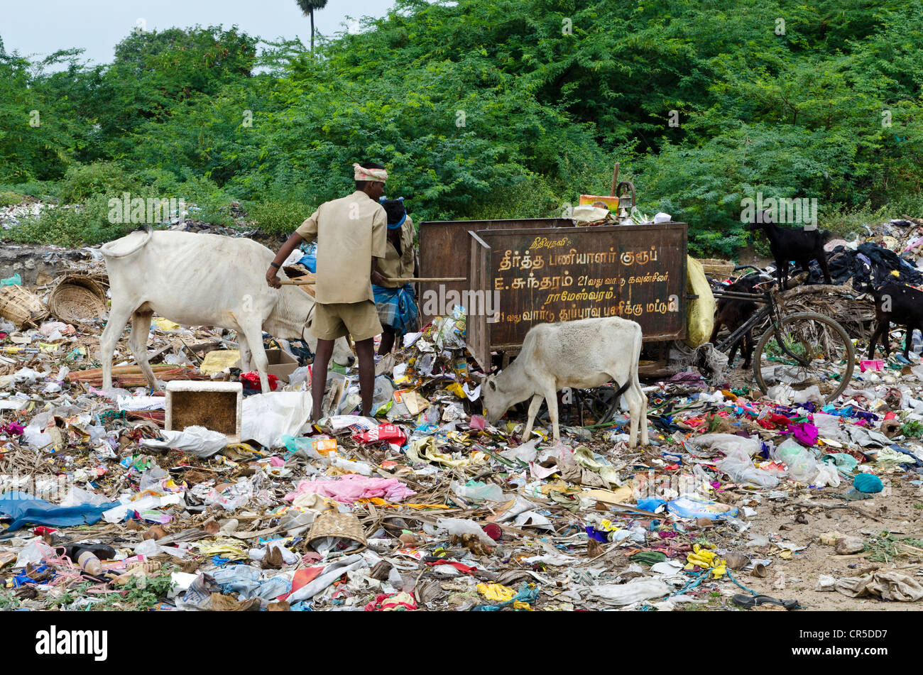 Wallfahrtsort voller Müll, Rameshwaram, Tamil Nadu, Indien, Asien Stockfoto