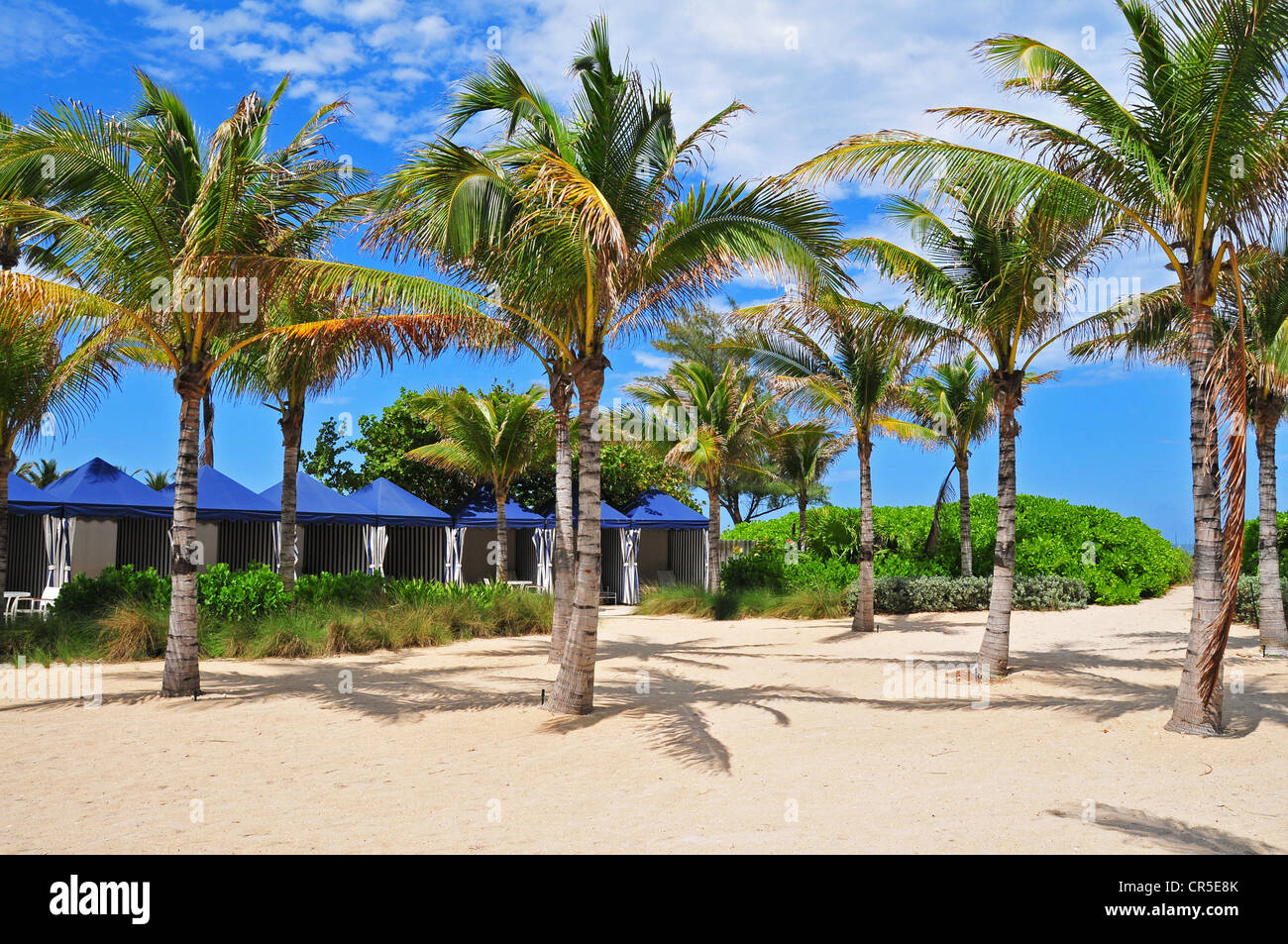 North Beach, Miami, Florida Stockfoto