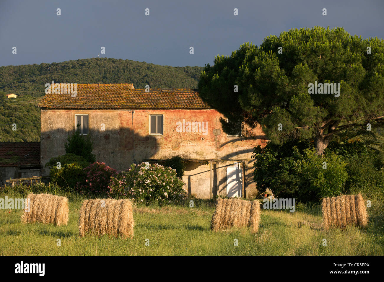 Italien, Toskana, La Maremma, Monte Argentario Stockfoto