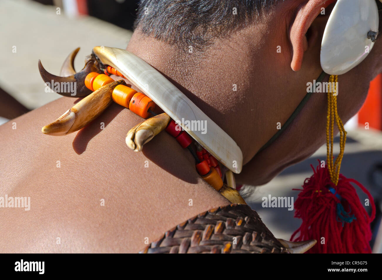 Mann in Stammes-Kleid auf dem jährlichen Hornbill Festival in Kohima, Indien, Asien Stockfoto