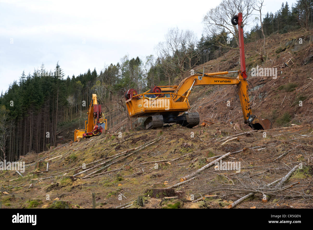 Baggern und schwere Ausrüstung schneiden Bäume in einem Wald im Hochland von Schottland, Vereinigtes Königreich Stockfoto
