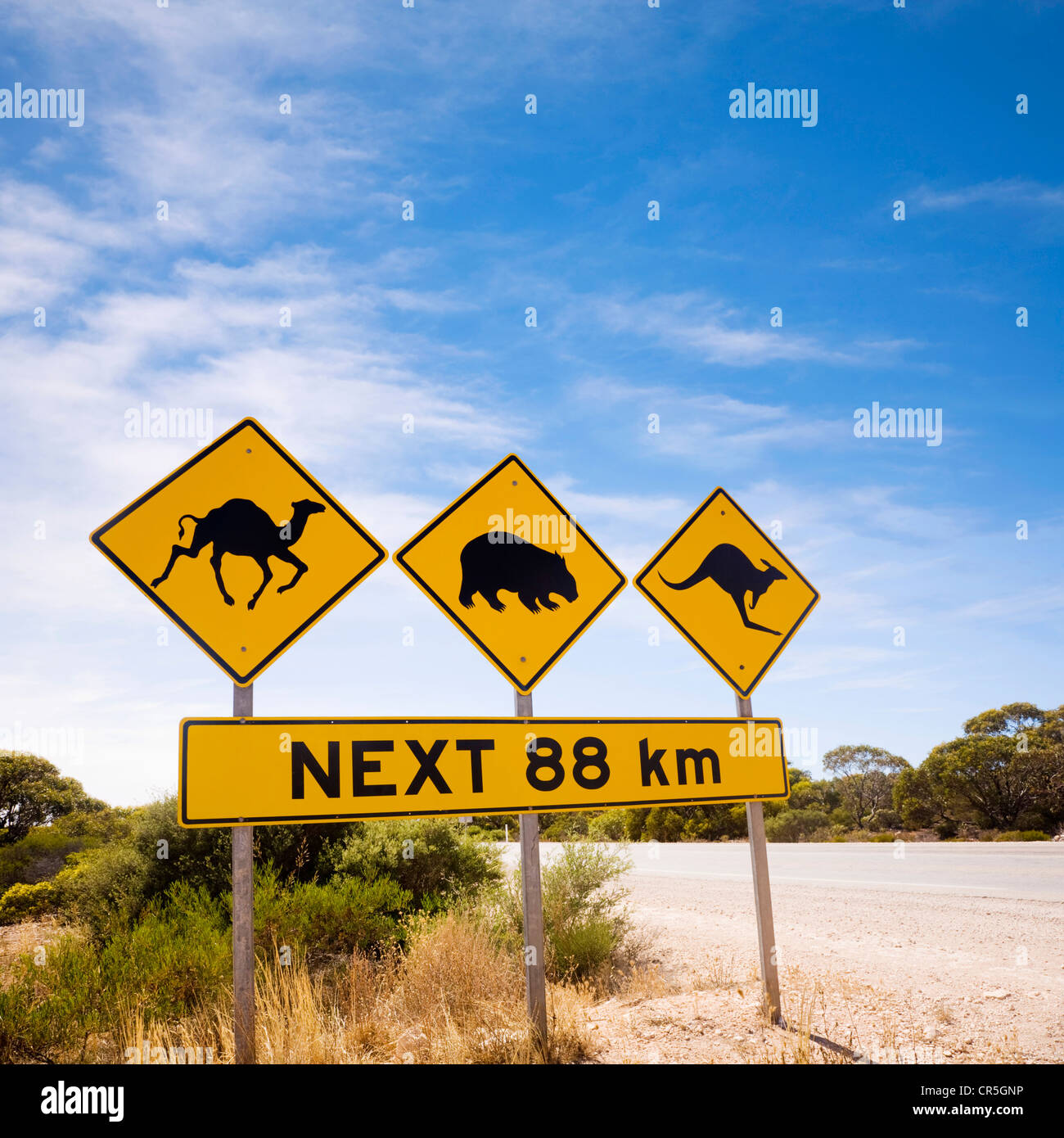 Berühmte Schild auf die Nullarbor Plain, South Australia, achten Sie auf Kamele, Wombats und Kängurus. Stockfoto