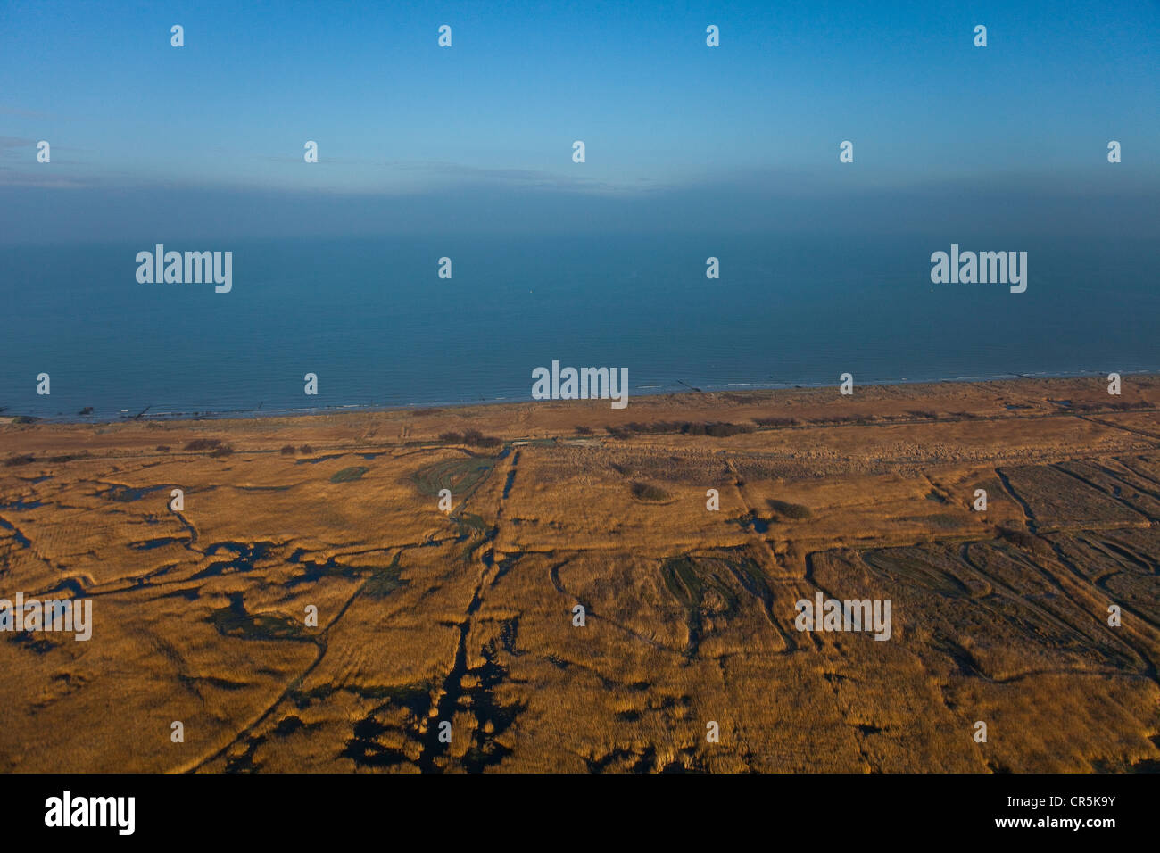 Frankreich, Calvados, Asnelles, Sümpfe neben Gold Beach (Luftbild) Stockfoto