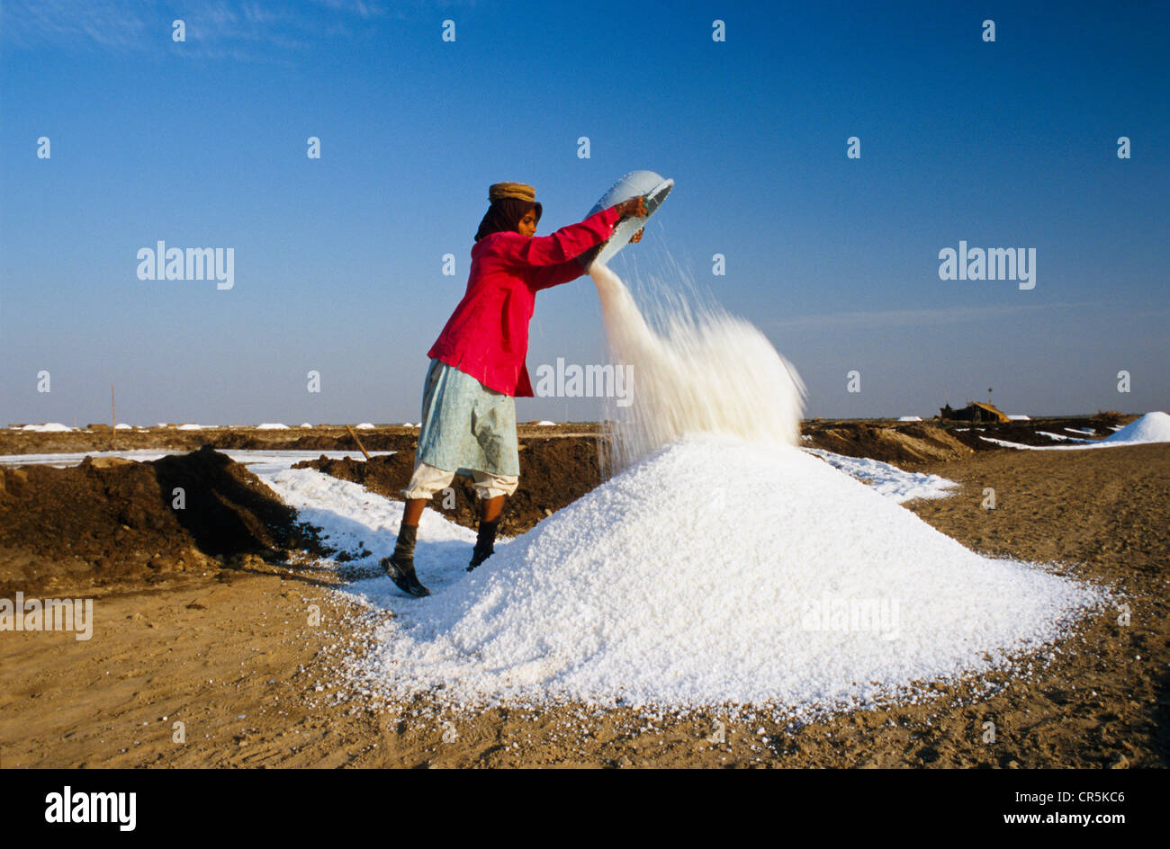 Salzgewinnung, der Transport des Salzes erfolgt von hand, Malya, Gujarat, Indien, Asien Stockfoto