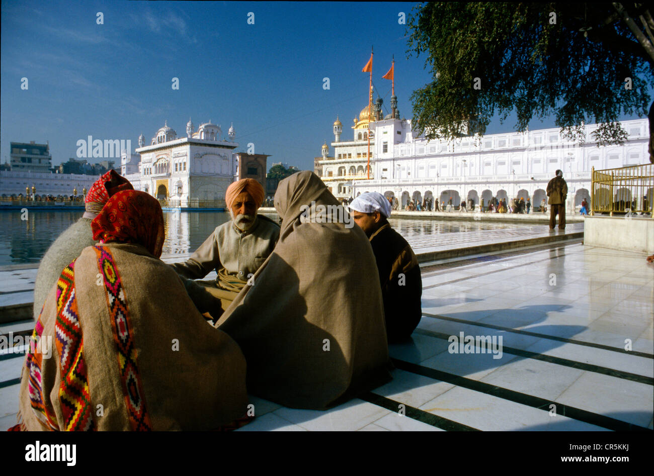 Gläubige beten in den goldenen Tempel, Amritsar, Punjab, Indien, Asien Stockfoto