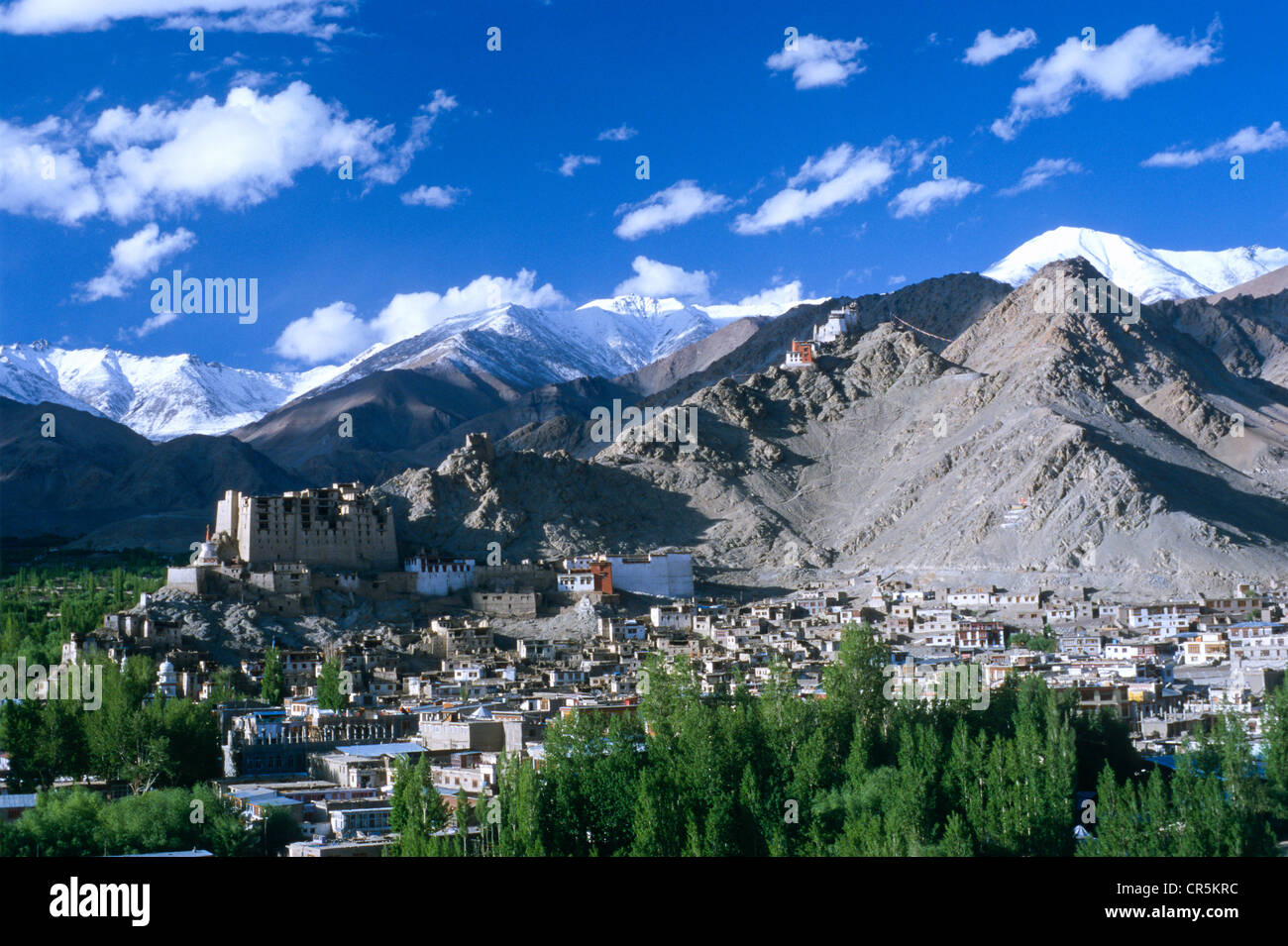 Leh, der ehemaligen Hauptstadt des alten Königreiches Ladakh, Jammu und Kaschmir, Indien, Asien Stockfoto