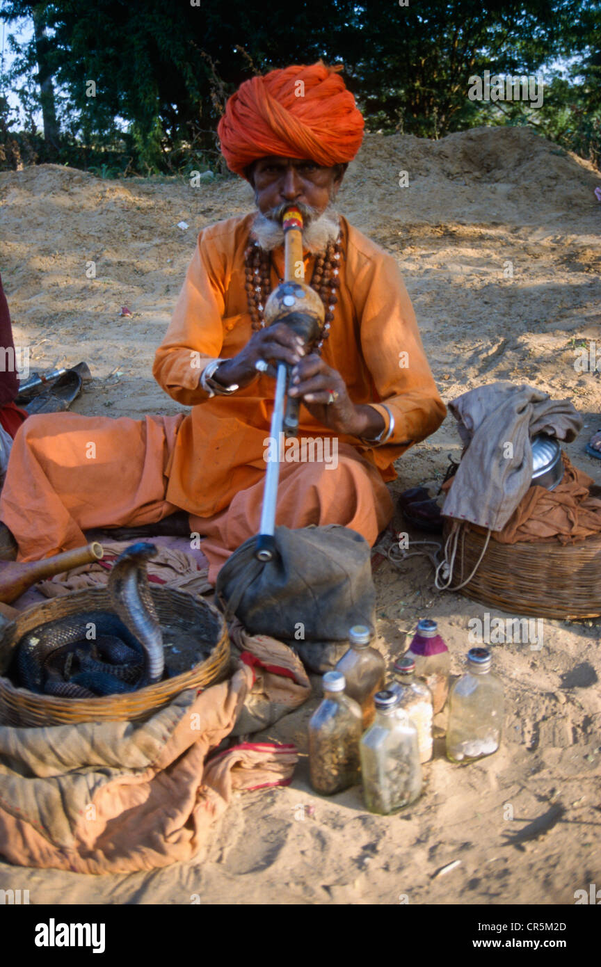 Schlangenbeschwörer in Pushkar, Rajasthan, Indien, Asien Stockfoto