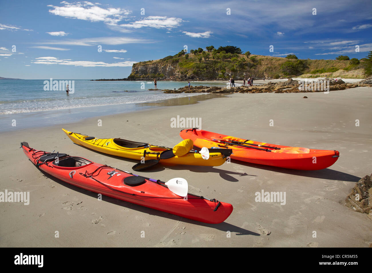 Kajaks am Strand in der Nähe von Ärzten Punkt- und Mapoutahi Pa, Maori Pa Gedenkstätte, nördlich von Dunedin, Südinsel, Neuseeland Stockfoto