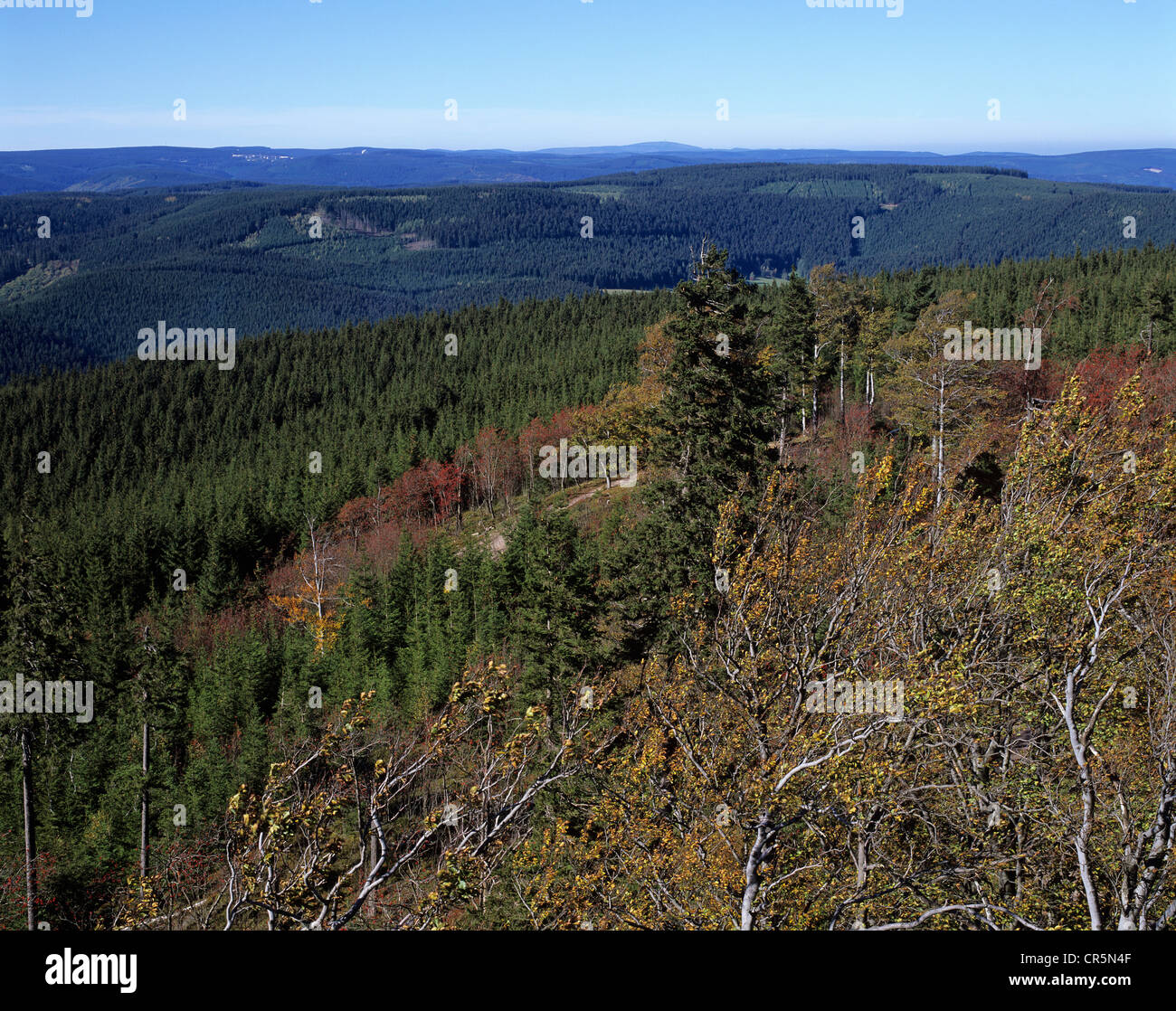 Blick über den Thüringer Wald, Thueringer Wald, vom Aussichtsturm auf Mt Kickelhahn bei Ilmenau, Thüringen Stockfoto