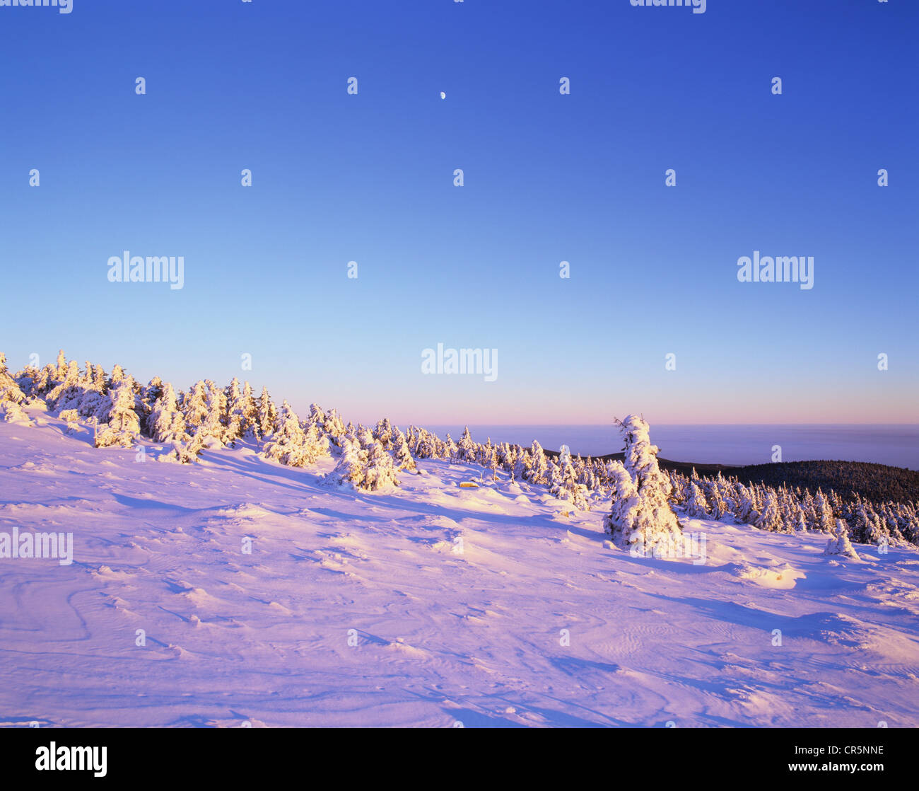 Winterlandschaft auf Mt Brocken, Mond am Himmel, Harz-Gebirge, Sachsen-Anhalt, Deutschland, Europa Stockfoto