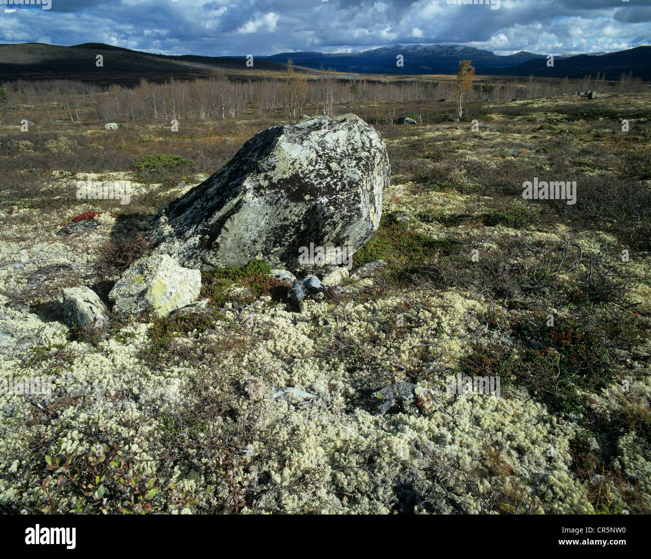 Fjell-Landschaft mit einem Felsbrocken entlang der Jotunheimvegen Mautstraße von Skålbu nach Bygdin, Jotunheimen, Oppland, Norwegen Stockfoto