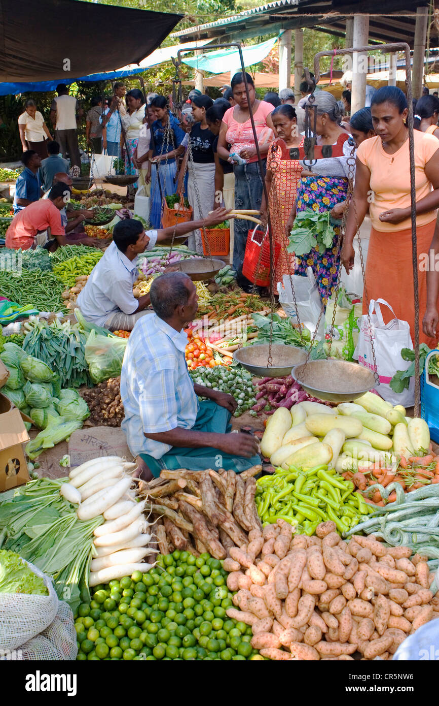 Commerce bei der zweimal wöchentlich frisch produzieren Markt, Mirissa, Southern, SriLanka Stockfoto