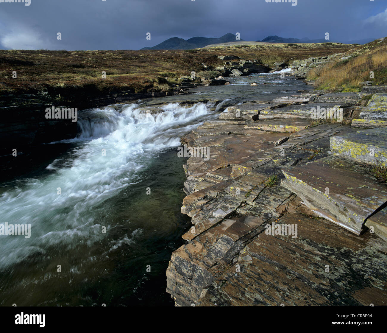 Ula-Fluss in der Nähe von Mysusæter, Mysuseter, Rondane Nationalpark, Norwegen, Skandinavien, Europa zu speichern Stockfoto