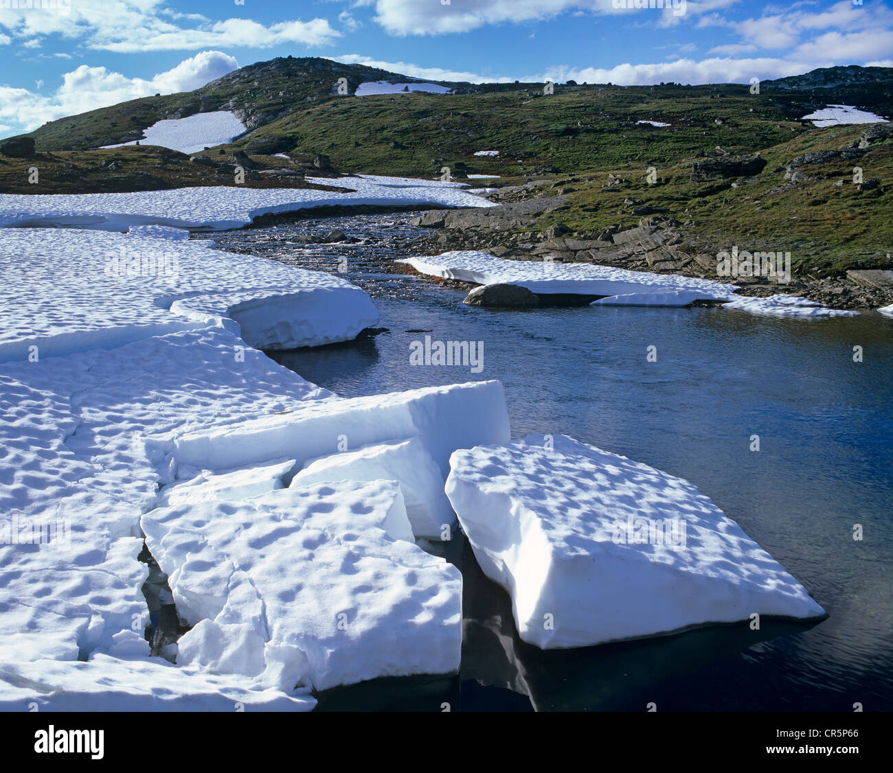 Eis auf Sognefjell, Sogn Og Fjordane, Norwegen, Skandinavien, Europa Stockfoto