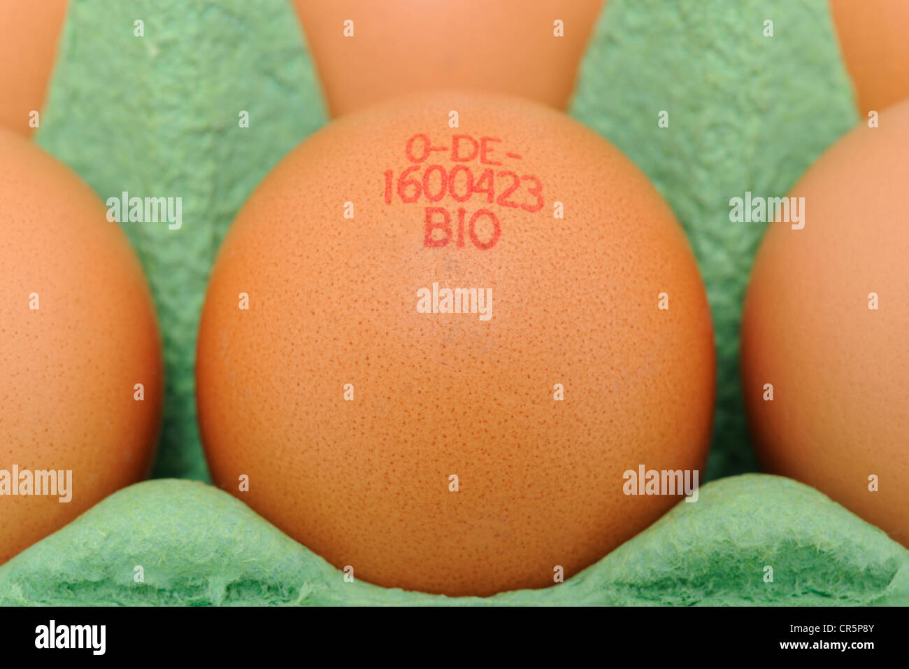 Bio-gestempelt Eiern in Verpackung Stockfoto
