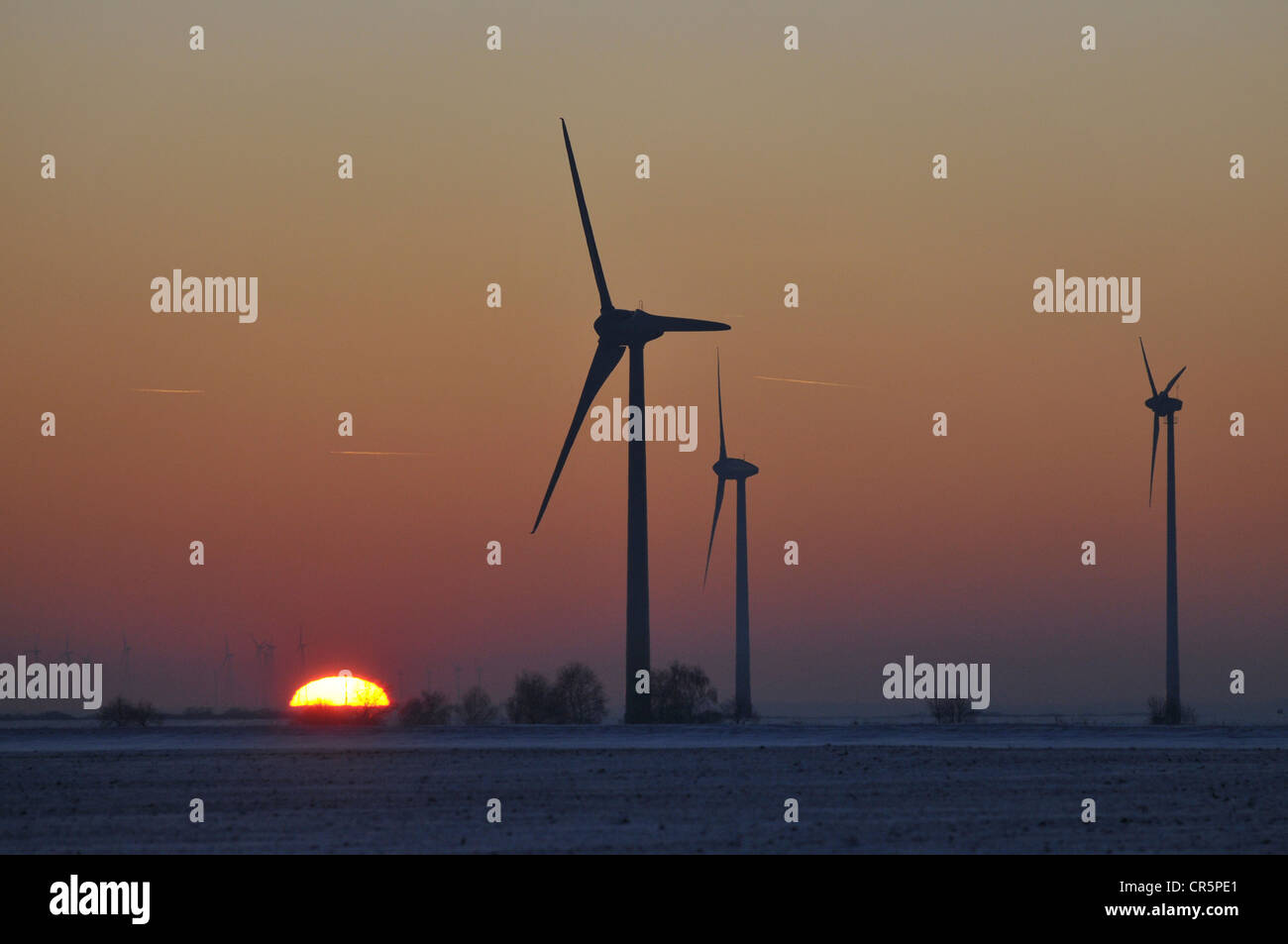 Windkraftanlagen in einem Feld bei Sonnenuntergang im Winter, Deutschland, Europa Stockfoto