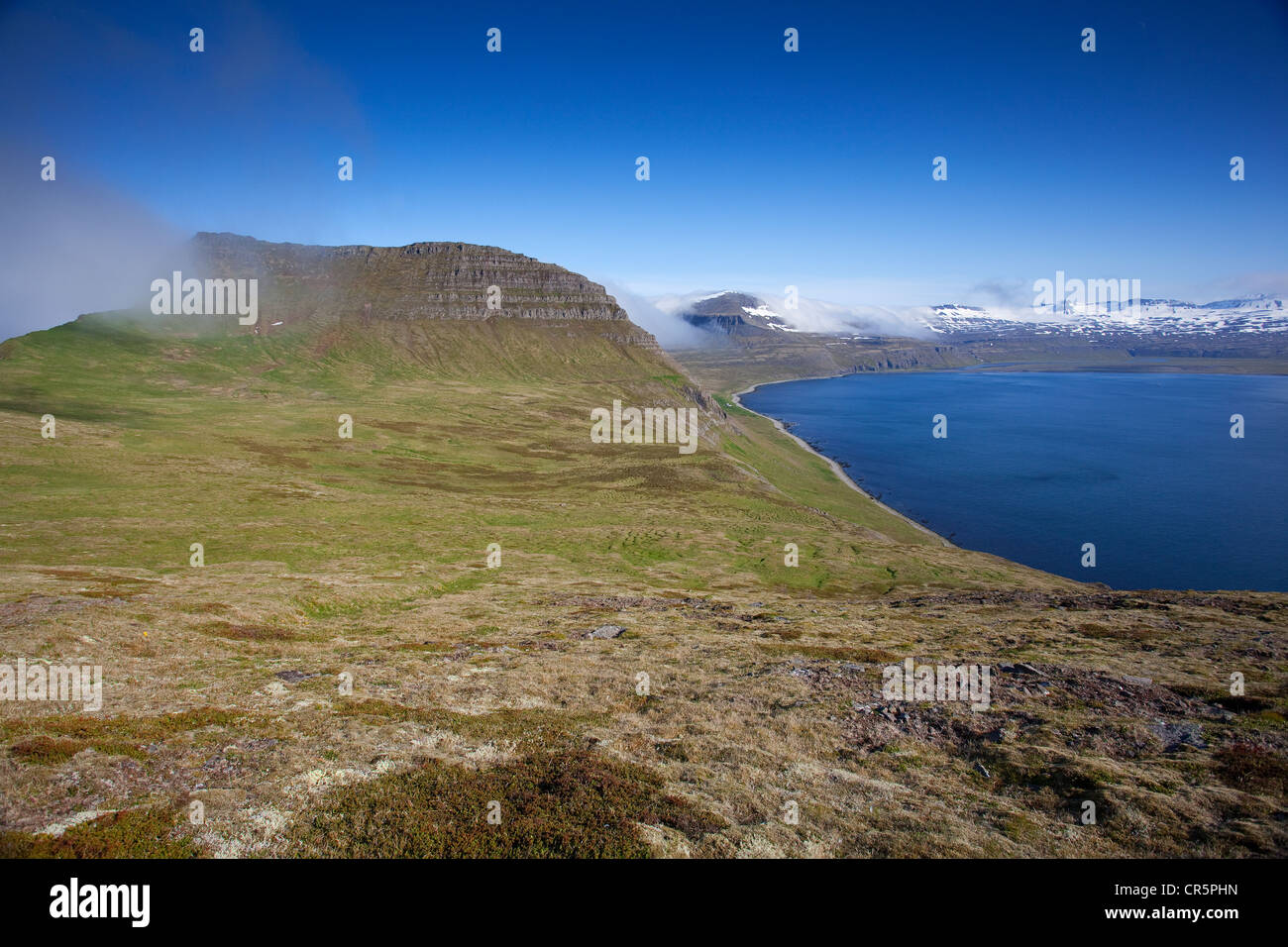 Hornvik, Blick vom Hornbjarg, Westfjorde, Island, Europa Stockfoto