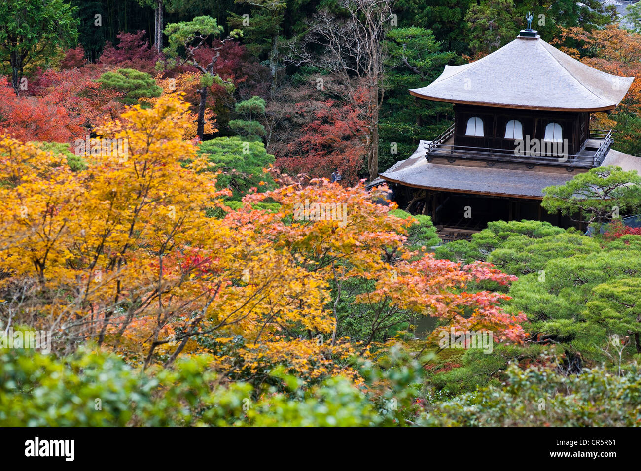 Japan, Insel Honshu, Kinki Region, Stadt Kyoto, Higashiyama Bezirk Ginkaku-Ji Tempel auch die Silber-Pavillon genannt, Stockfoto