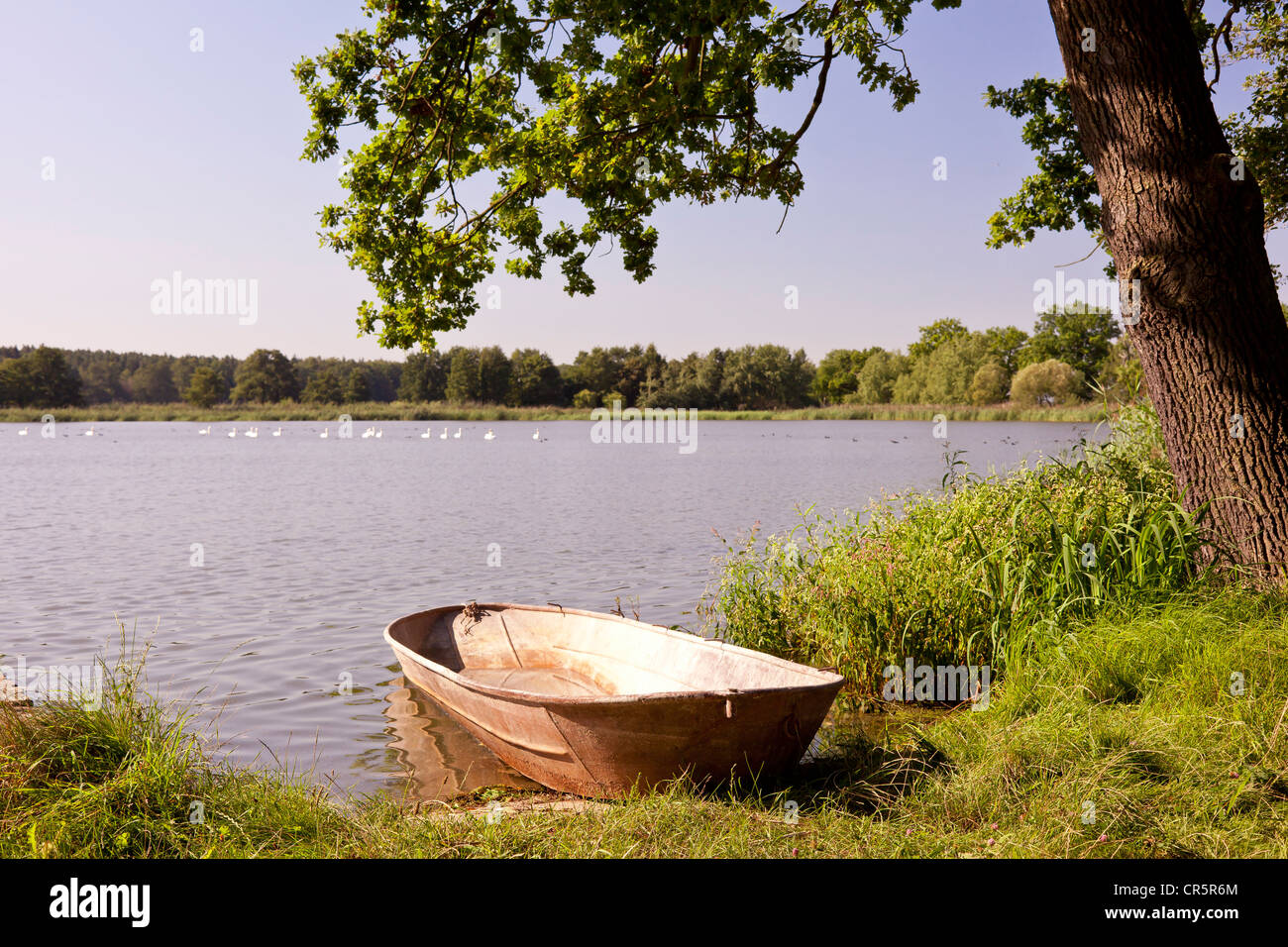Deutschland teich Fotos und Bildmaterial in hoher Auflösung Alamy