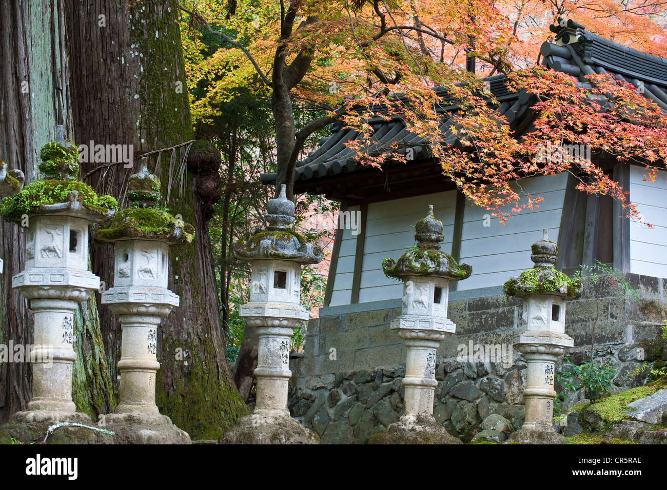 Japan, Insel Honshu, Kinki-Region, Stadt Kyoto, Takao Mount, North nach Kyoto, der Saimyoji Tempel, Stein Laternen Stockfoto