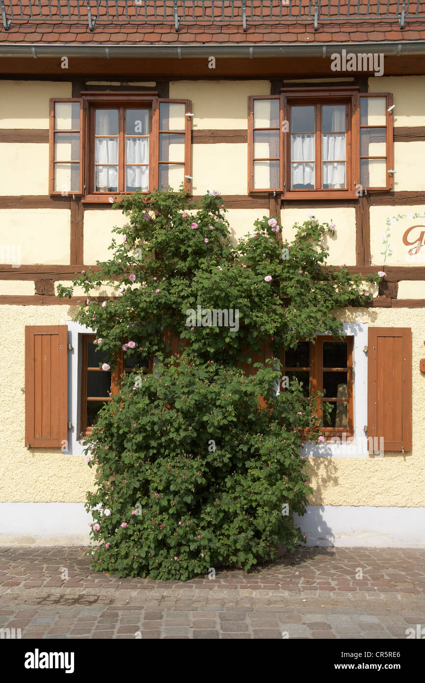 Fachwerkhäuser, historische Gasthaus gegenüber dem Kloster Kloster Buch in Klosterbuch, Sachsen, Deutschland, Europa Stockfoto