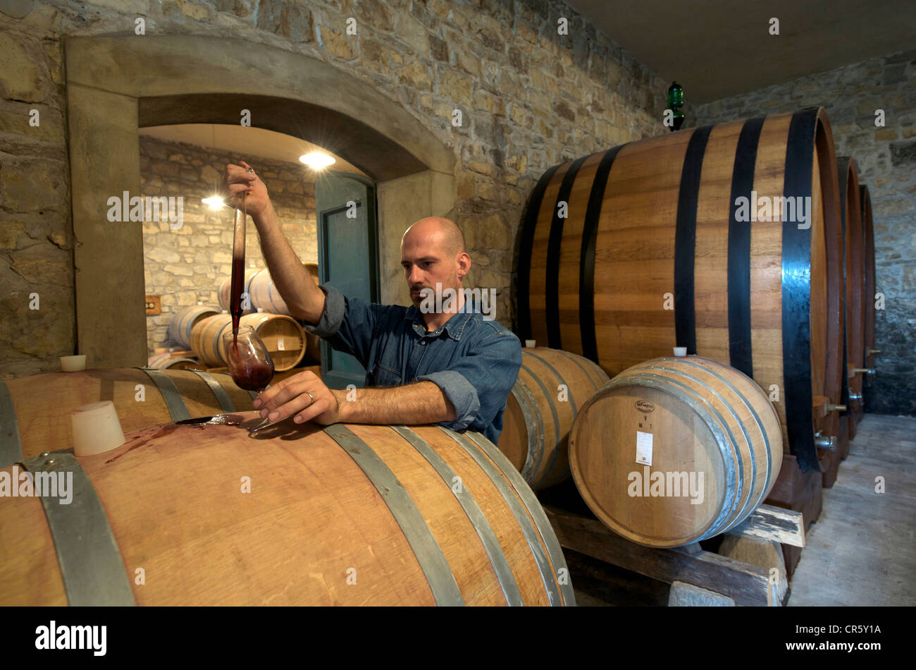 Italien, Toskana, Chianti-Wein produzierenden Bereich, Greve in Chianti, Castello di Verrazzano, Keller Stockfoto