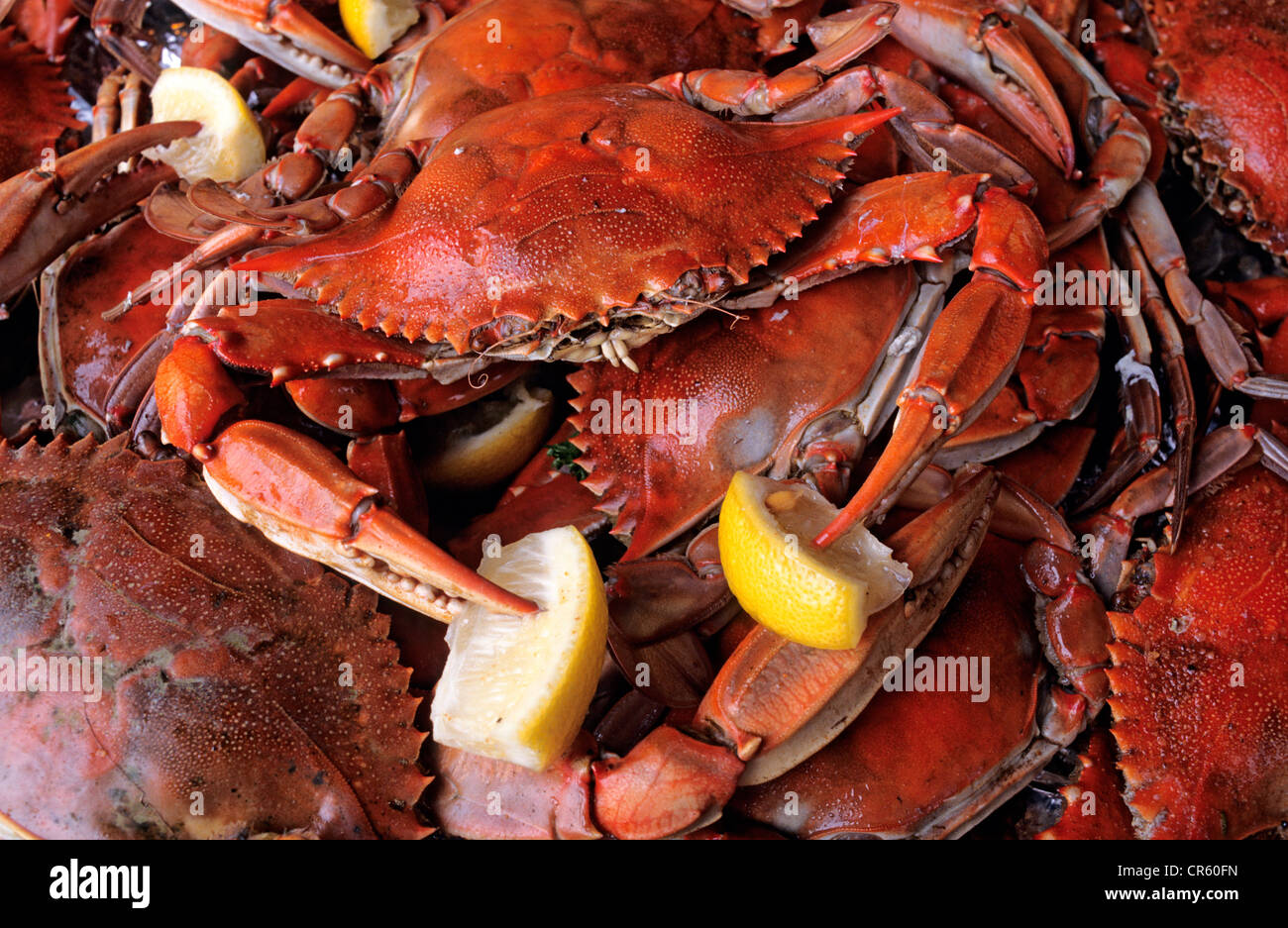 USA, Georgia, Savannah, Tybee Island, The Crab Shack, restaurant Stockfoto