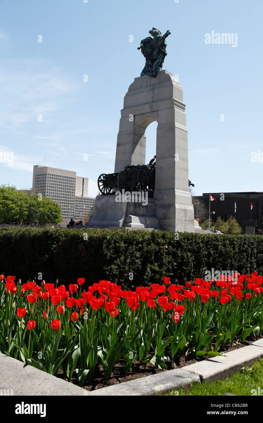 Canadian National War Memorial In Ottawa Stockfoto