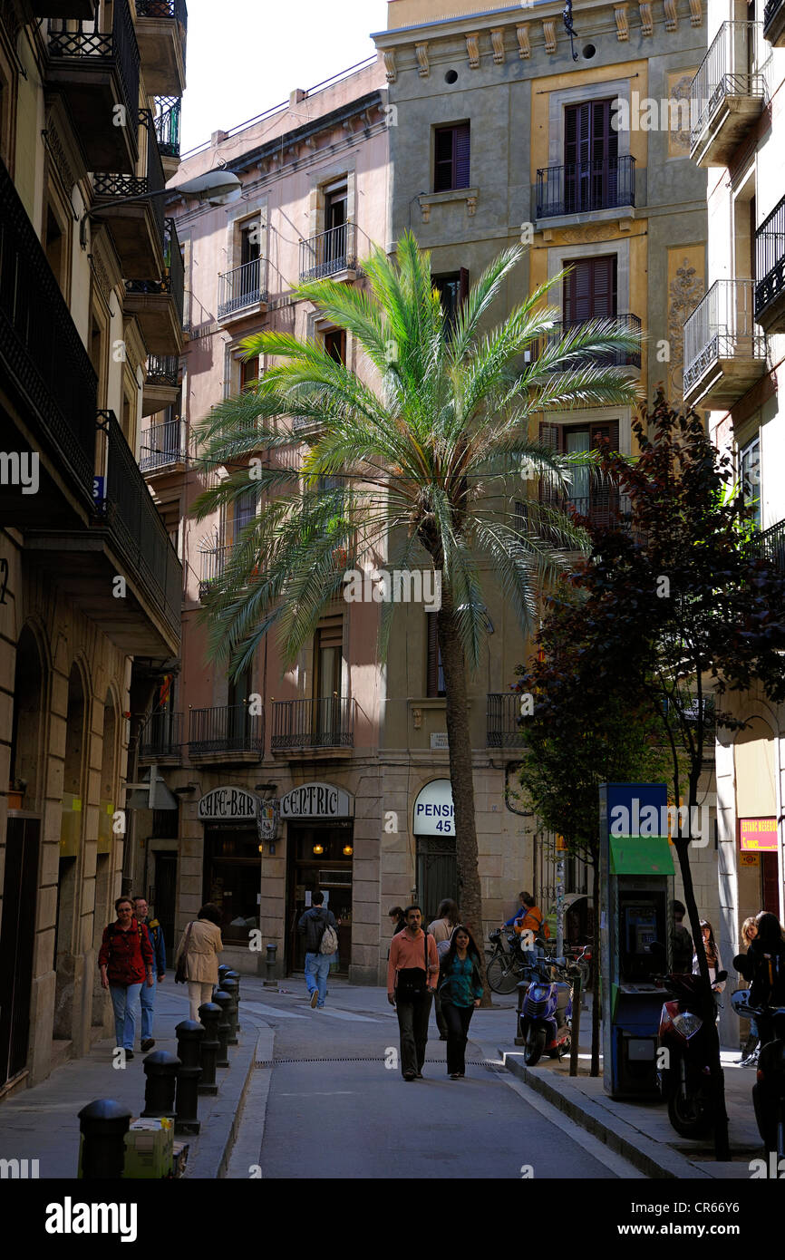 Spanien, Katalonien, Barcelona, Barrio Gotico District, schmale Straße Stockfoto