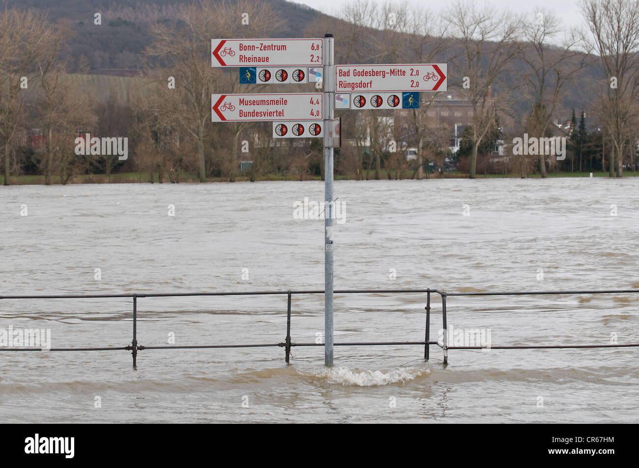 Hochwasser des Rheins in der Nähe von Bonn, überfluteten Radweg und Promenade, Wegweiser im Wasser, North Rhine-Westphalia Stockfoto