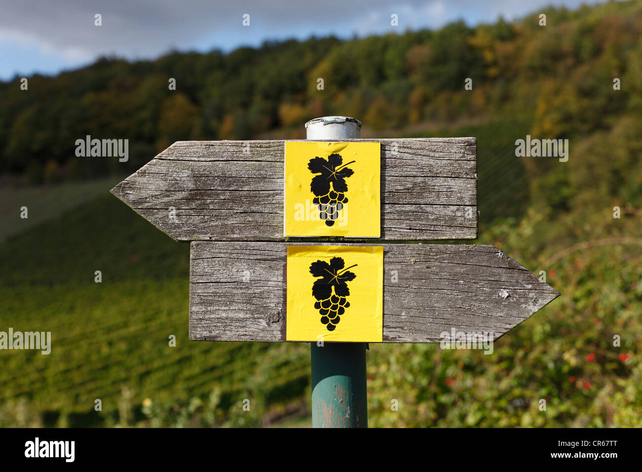 Deutschland, Bayern, Oberschwarzach, Sign post für Wein-Wanderweg Stockfoto