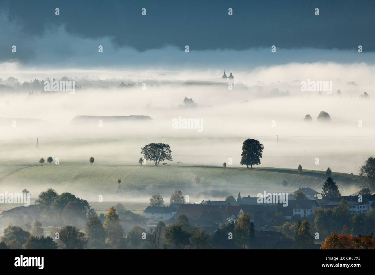 Deutschland, Bayern, Kleinweil und Schlehdorf Abbey, Aussicht über Baum im Nebel Stockfoto