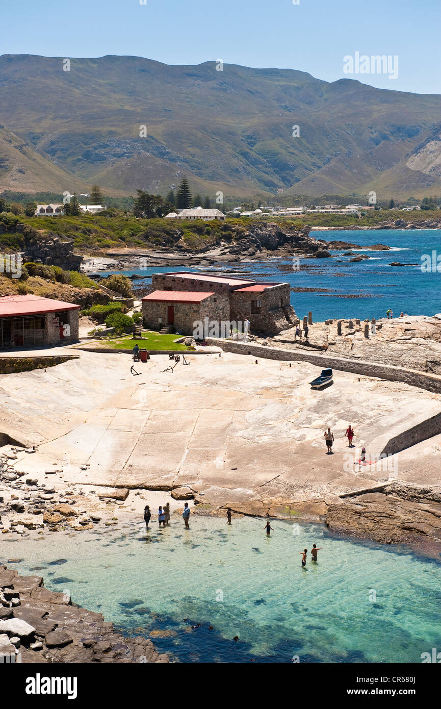 Südafrika, Western Cape, Hermanus ist ein idealer Ort zum Southern Right Wale beobachten Stockfoto