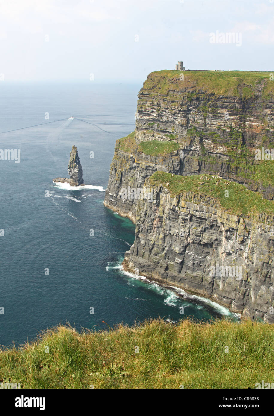 Die Cliffs of Moher (Irland) an einem Tag von Nebel Stockfoto
