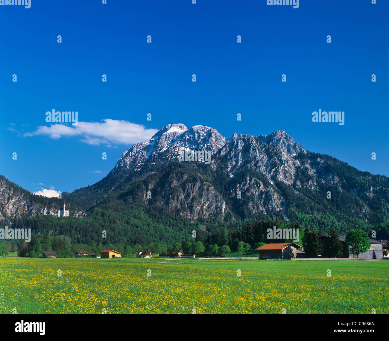 Schwangau, Allgäu Panorama mit Bergen und Hütte, Schloss Neuschwanstein Castle, links, Bayern, Deutschland, Europa Stockfoto