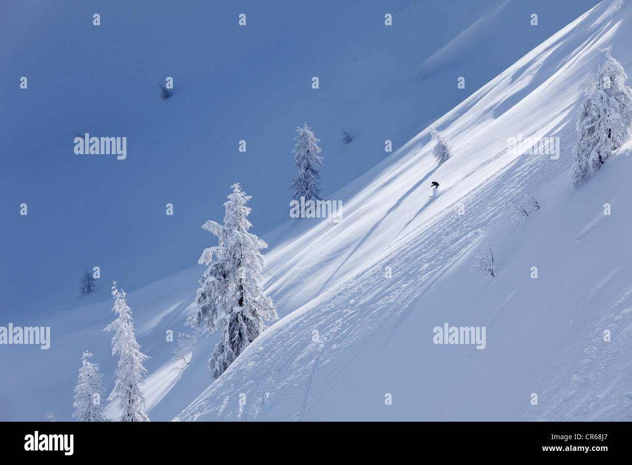 Österreich, Steiermark, Person, Skifahren im Skigebiet Reiteralm Stockfoto