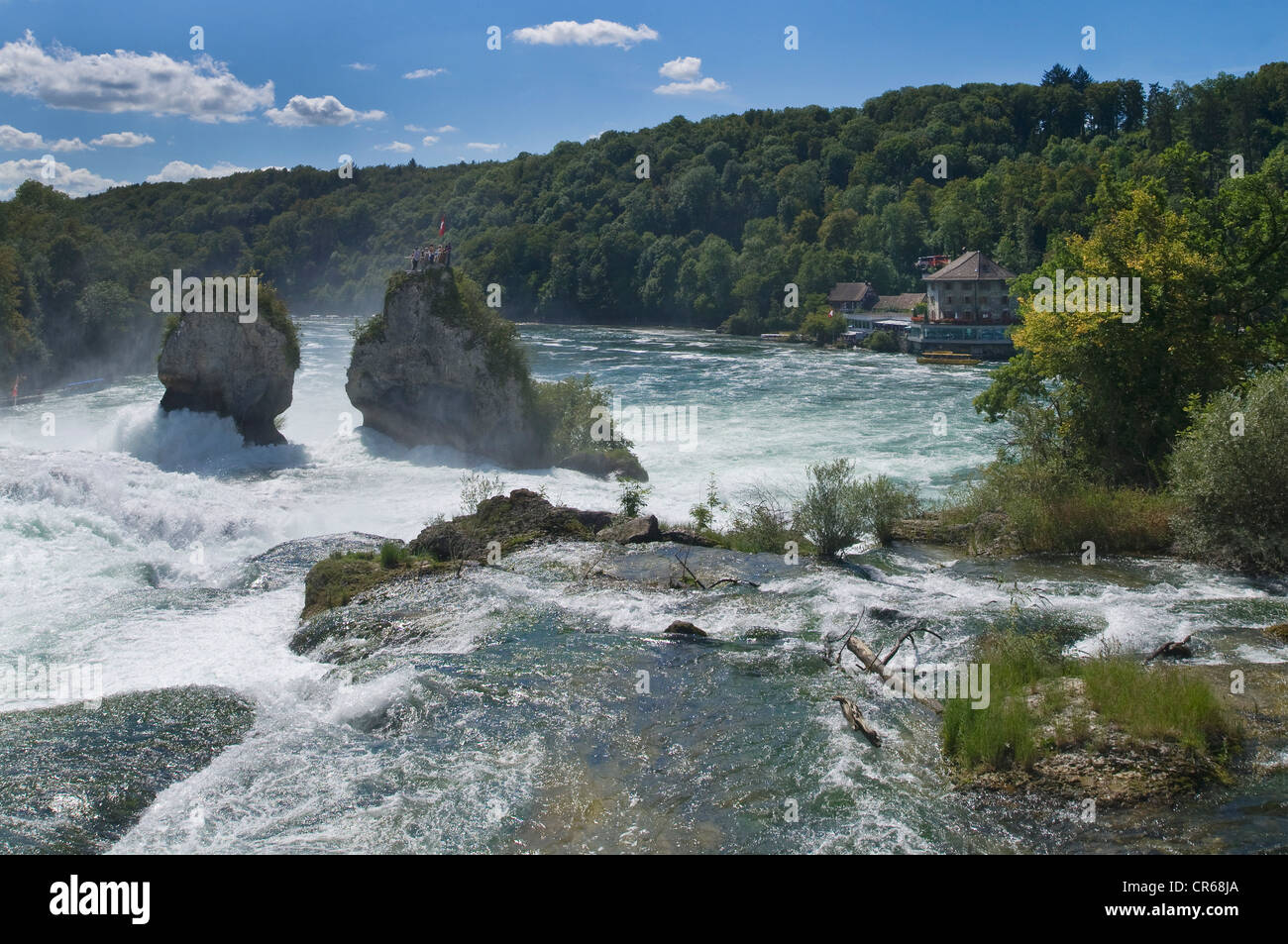 Rheinfall bei Schaffhausen, Topview, Schweiz, Europa Stockfoto